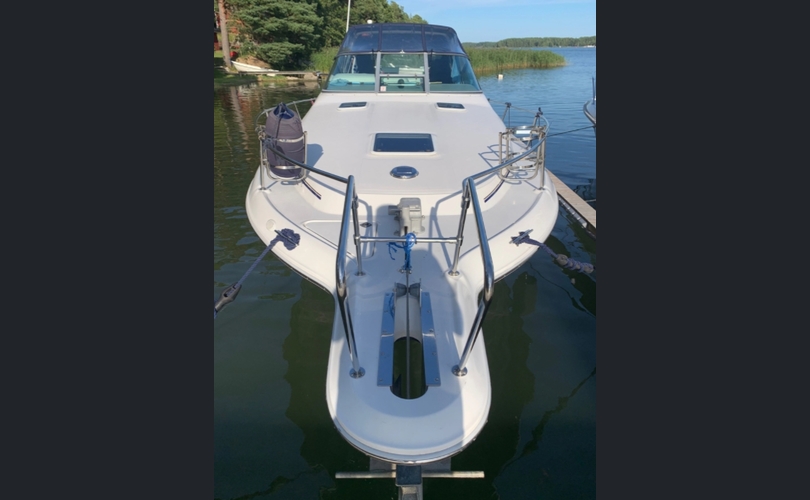 Sea Ray Sundancer 290-kuva-7